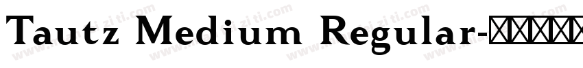 Tautz Medium Regular字体转换